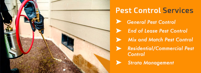  Pest Control Services In Canberra