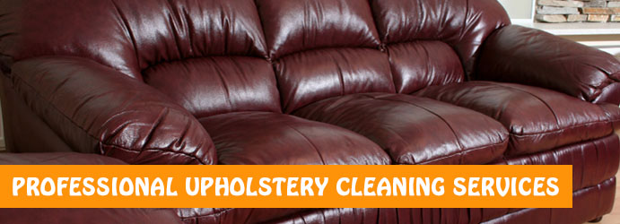 Amazing Leather Cleaning Services