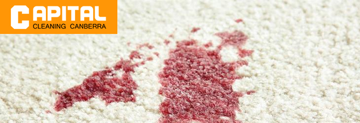 Remove Stain From Carpet