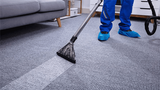 Same Day Carpet Cleaning Service 