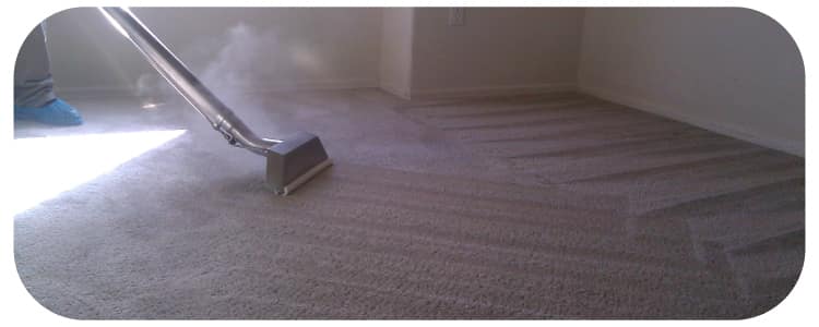 Best Carpet Steam Cleaning Service