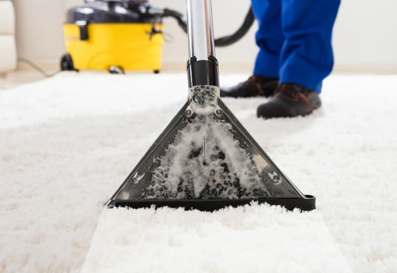  Carpet Cleaners In Canberra