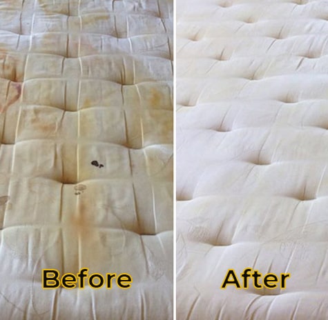Mattress Mould Removal Experts Canberra