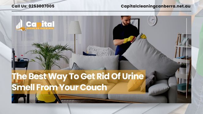 Get Rid Of Urine Smell From Your Couch